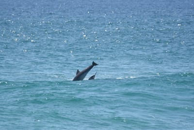 DSC_9326.JPG