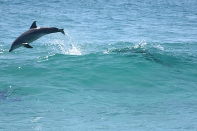 DSC_9334.JPG
