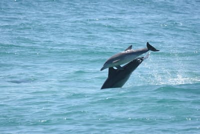 DSC_9343.JPG