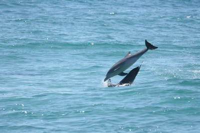 DSC_9344.JPG