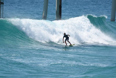 DSC_9355.JPG