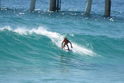 DSC_9374.JPG