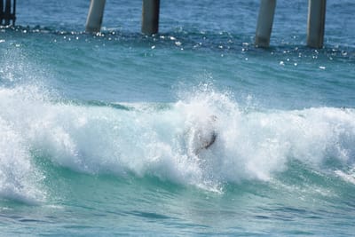 DSC_9381.JPG