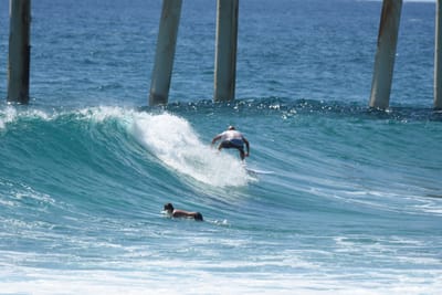DSC_9397.JPG