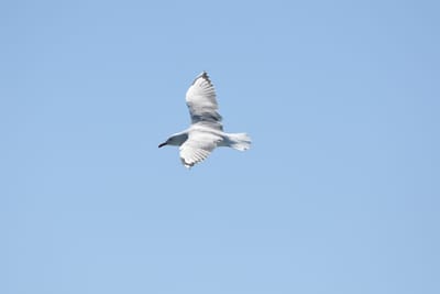 DSC_9400.JPG
