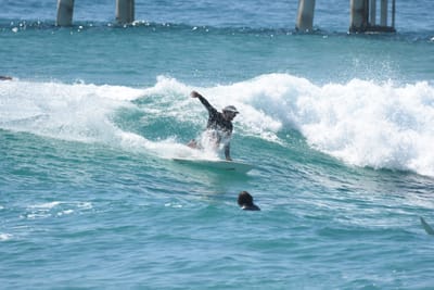 DSC_9442.JPG