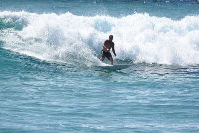 DSC_9454.JPG
