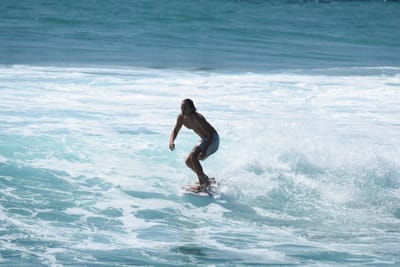 DSC_9516.JPG