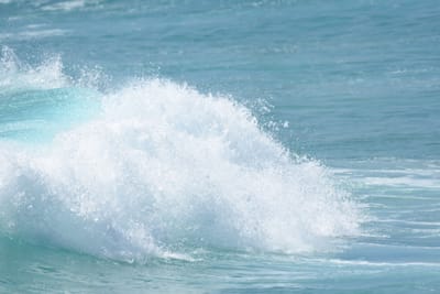 DSC_9621.JPG