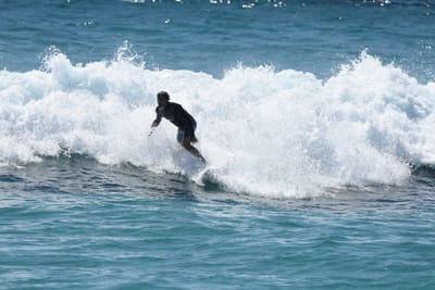 DSC_9677.JPG