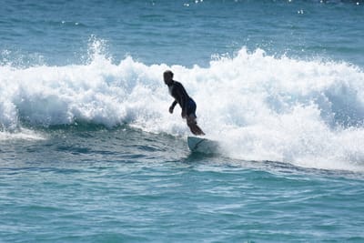 DSC_9679.JPG