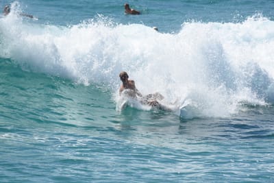 DSC_9727.JPG