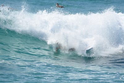 DSC_9728.JPG