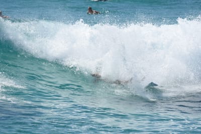 DSC_9729.JPG