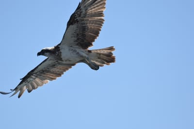 DSC_9734.JPG