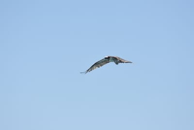 DSC_9740.JPG