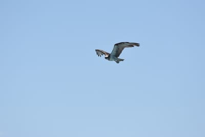 DSC_9741.JPG
