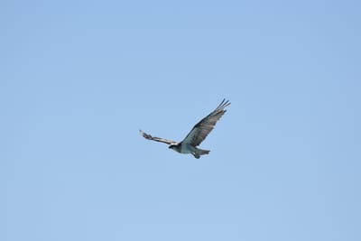 DSC_9742.JPG