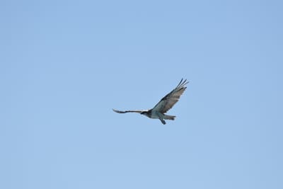 DSC_9743.JPG
