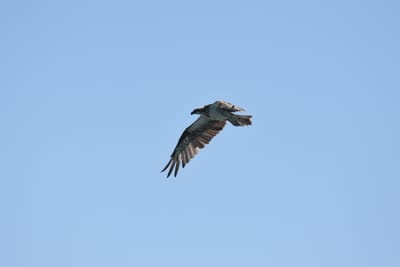 DSC_9744.JPG