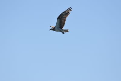 DSC_9745.JPG