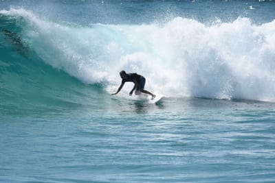 DSC_9808.JPG