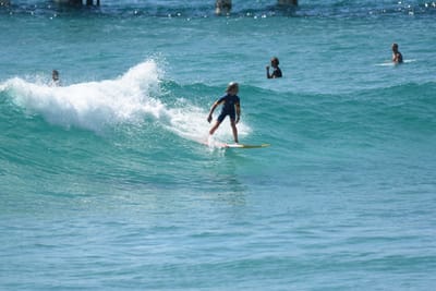 DSC_9855.JPG