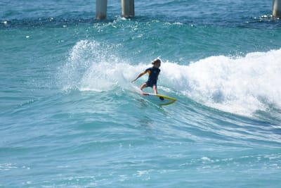 DSC_9871 - Copy.JPG