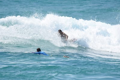 DSC_9975.JPG