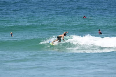 DSC_0423.JPG