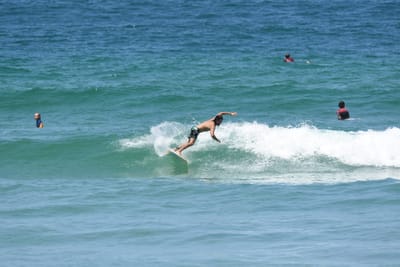 DSC_0424.JPG