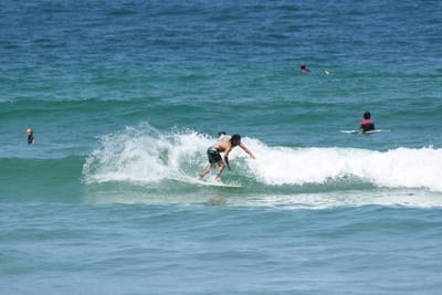 DSC_0426.JPG
