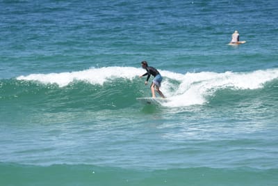 DSC_0429.JPG