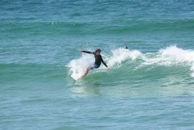 DSC_0446.JPG