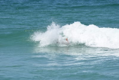 DSC_0478.JPG
