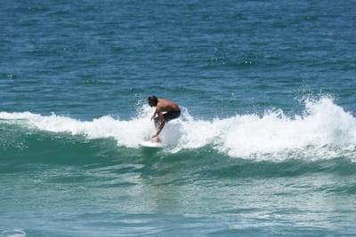 DSC_0514.JPG
