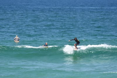 DSC_0515.JPG