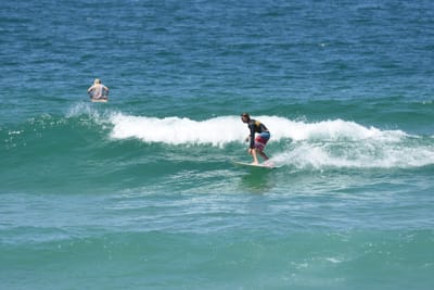 DSC_0522.JPG