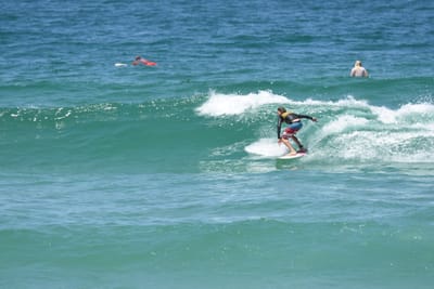 DSC_0524.JPG