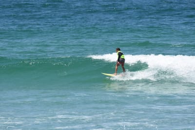 DSC_0528.JPG