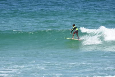 DSC_0529.JPG