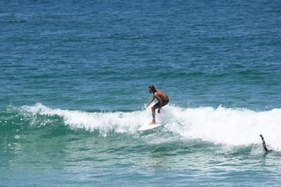 DSC_0555.JPG