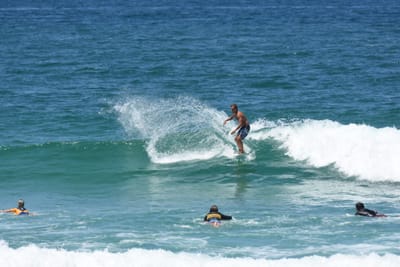 DSC_0600.JPG