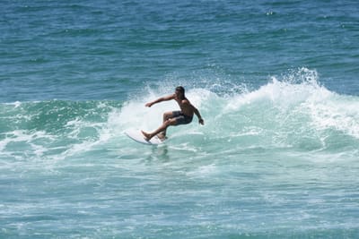 DSC_0619.JPG