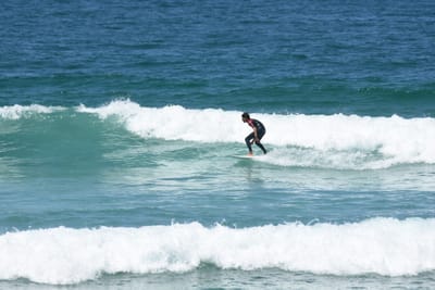 DSC_0711.JPG