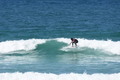 DSC_0713.JPG