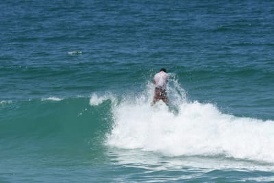 DSC_0754.JPG