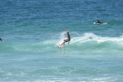 DSC_0761.JPG
