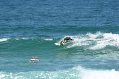 DSC_0773.JPG