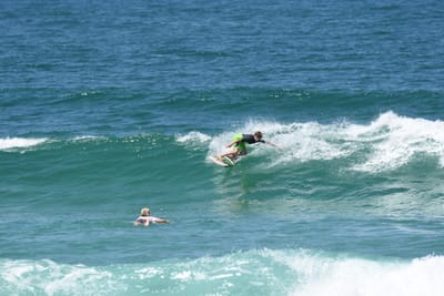 DSC_0774.JPG